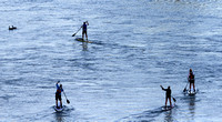 IMG_6436crop